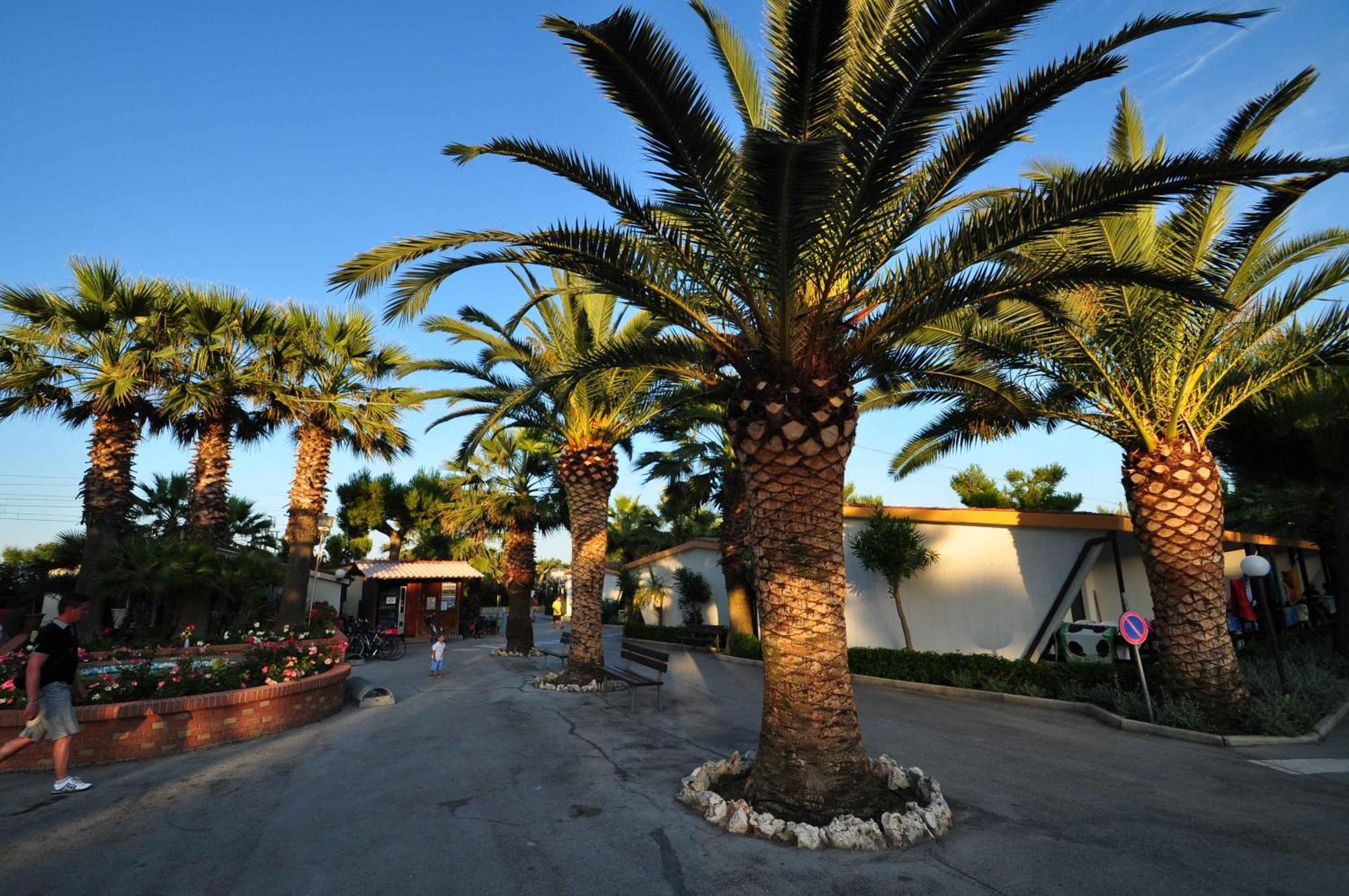 Camping Villaggio Calypso Cupra Marittima Exterior foto
